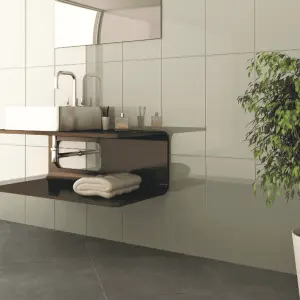 Ceramica Ultra White Gloss Ceramic Indoor Wall Tile Sample