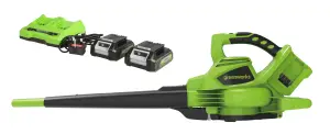 Greenworks 48V (2 x 24V) Blower & Vacuum with Battery & Charger