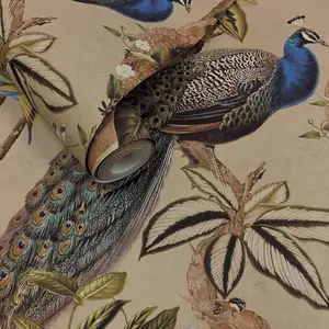 Holden Peacock Woods Tropical Floral Exotic Birds Flowers Taupe Wallpaper