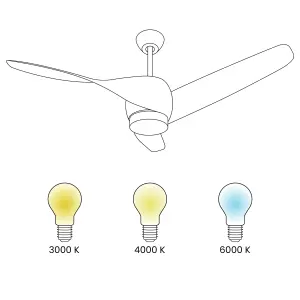 Ceiling Fan with Light Brown PARIA