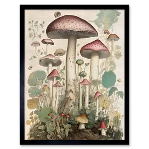 Alely Mushroom Fungi Botanical Vintage - Single Picture Frame Print