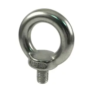 M10 Lifting EYE Nut A2 Stainless Steel Pack of 10