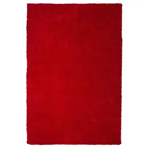 Shaggy Area Rug 140 x 200 cm Red DEMRE