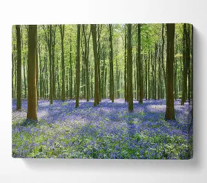 Mystical Bluebell Woodland Canvas Print Wall Art - Medium 20 x 32 Inches