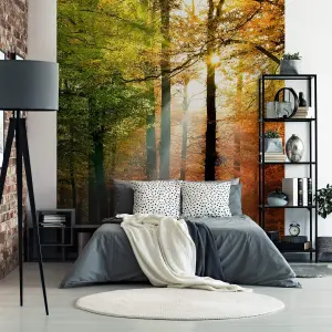 Golden Autumn Mural - 192x260cm - 5483-4