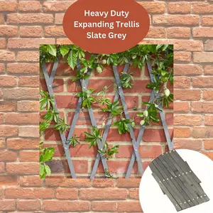 Slate Grey 1.8m x 0.9m Heavy Duty Plant Support Wooden Expanding Trellis for Climbing Plants Garden Decoration