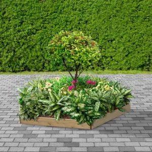 Greena Hexagonal Raised Bed 15 cm High, 120cm each side