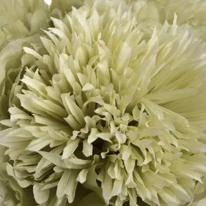 UK Homeliving Artificial Green Peony