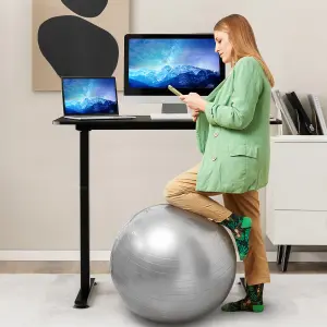 Costway 110 x 60cm Electric Height Adjustable Standing Desk Sit to Stand Computer Workstation Table