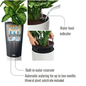 LECHUZA CILINDRO Color 32 Sand Brown Floor Self-watering Planter with Substrate and Water Level Indicator D32 H56 cm, 13L