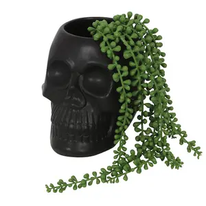 Something Different Dark Matter Skull Plant Pot Black (One Size)