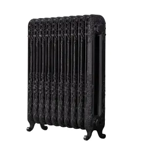 Arroll Daisy Cast iron Black 10 Column Radiator, (W)684mm x (H)794mm