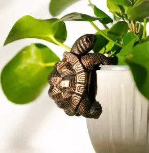 Garden Plant Pot Hanger - Tortoise