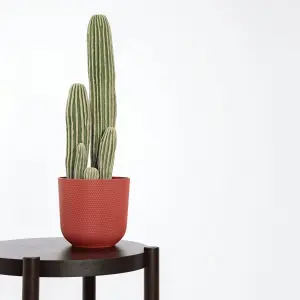 Blooming Artificial - Faux 59cm / 2ft Cactus Plant - Fake House Plant