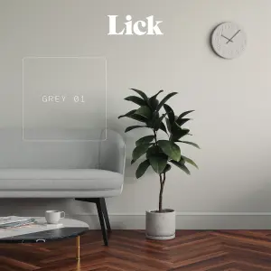 Lick Grey 01 Peel & stick Tester