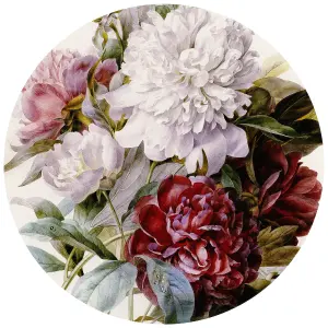 Bouquet of Peonies Mural - 144x144cm - 5558-R