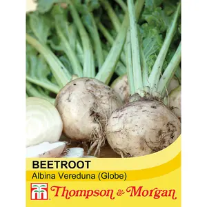 Beetroot Albina Vereduna 1 Seed Packet (250 Seeds)