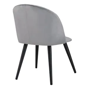 Fairbanks Dining Chair (Set of 2) Grey