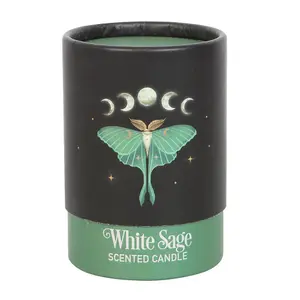 Something Different Luna Moth White Sage Scented Candle White/Green (One Size)