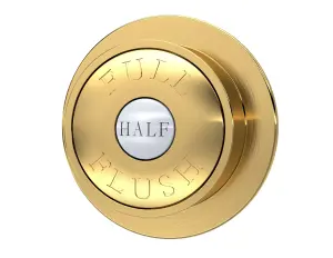 Traditional Dual Flush Push Button - 72mm - Brushed Brass