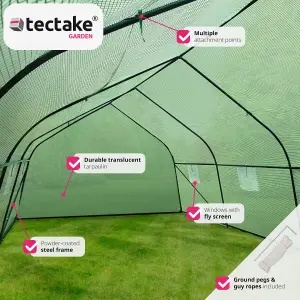 Greenhouse - polytunnel with 8 windows, 600 x 300 x 205 cm - 600 x 300 x 205 cm