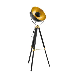 EGLO Floor Lamp Black/Gold COVALEDA (21)