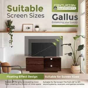 Centurion Supports Gallus Premium Walnut with 2-Walnut Drawers and 2 Shelves up to 55" LED, OLED, LCD TV Cabinet