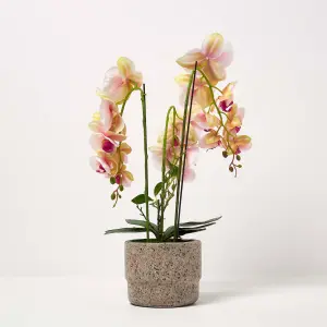 Homescapes Pink Orchid 64 cm Phalaenopsis in Cement Pot Extra Large, 3 Stems