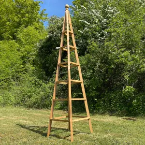 Set of 2 Wooden Garden Obelisks Ideal for Climbing Plants (1.9m)