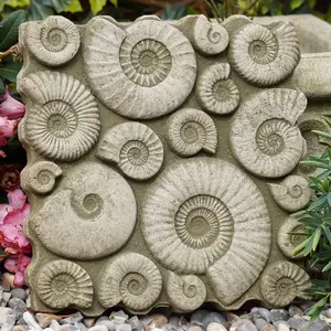 Fossil Wall Stone Statue Hanging Ammonite Dinosaur Outdoor Garden Ornament UK British Made Sculpture