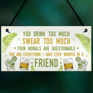 Red Ocean Funny Best Friend Friendship Sign Drink Too Much Gin Vodka Birthday Gift