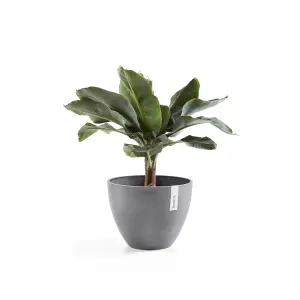 Antwerp Smooth Finish Ecopot 50cm Grey