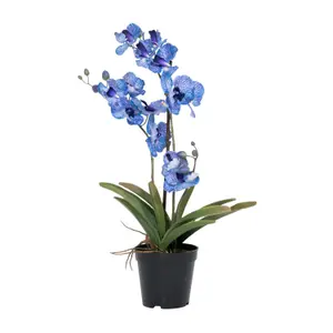 Blooming Artificial - Faux Vanda Orchid - Fake Indoor Flower Plant Pink Purple