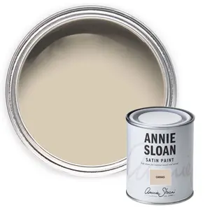 Annie Sloan Satin Paint 750ml Canvas