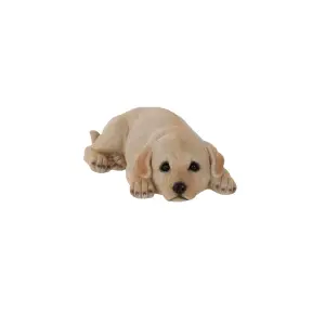 Terrastyle Cream Resin Labrador puppy Garden ornament (H)9cm