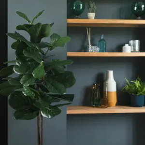 Artificial Fiddle Leaf Tree - 175cm / 6ft Artificial Floor-Standing Plant