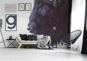 Black Buffalo Mural Design 400cm x 270cm