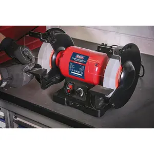 High-Performance 200mm Variable Speed Bench Grinder with 550W Induction Motor