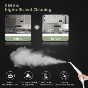 Costway Hand-held Steam Cleaning Machine 3 Bar 1000W Portable Steam Cleaner