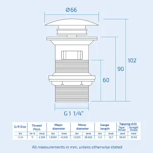 Nes Home Deck Mounted Gloss Round Single Lever Basin Mono Mixer Tap Gold + Slotted Brushed Brass Waste