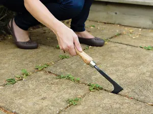 Kent & Stowe Carbon Steel Hand Weeding Blade, FSC