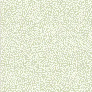 Laura Ashley Little vines Hedgerow Leaf Smooth Wallpaper Sample