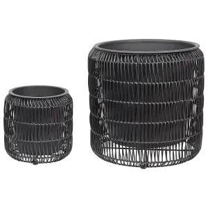 Set of 2 Plant Pots BRODIEA PE Rattan Black