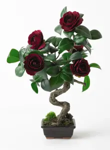 Bloom Artificial Ruby Camellia Bonsai Tree in Planter - Faux Fake Flower Houseplant, Indoor Home Decoration - H37 x W20cm