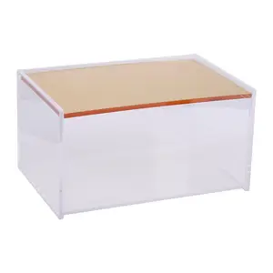 Ekamjit Handmade Plastic Decorative Box