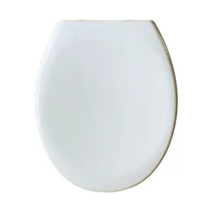 RTS Universal Oval - Top Fix - Soft Close - Quick Release Toilet Seat 375 x 445