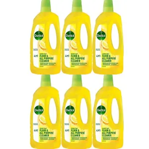 Dettol Floor & Multipurpose Cleaner Disinfectant 4in1 Citrus 750ml x 6