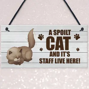 Novelty Funny Cat Sign Pet Sign Pet Gift For Family Home Decor Gift Keepsake