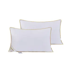 Luxury Goose Feather and Down Pillow - Set of 2