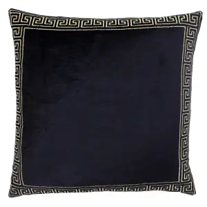 Paoletti Apollo Embroidered Feather Rich Cushion